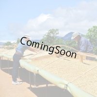 6月のおすすめセット(200g×4種類)
