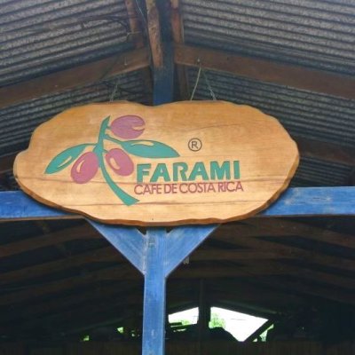 【豆珈房】コスタリカ・ファラミ・ゲイシャ