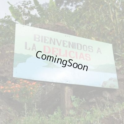 画像2: ニカラグア・ラスデリシャス農園ゲイシャ　ナチュラル　中煎り　(250g)