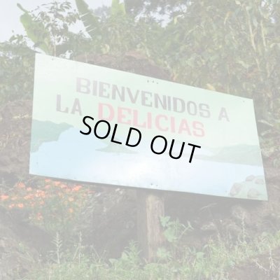 画像4: ニカラグア・ラスデリシャス農園ジャバニカ・ナチュラル　中煎り　(250g)