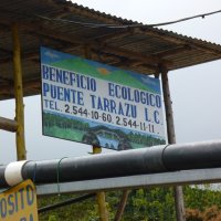 コスタリカ・プエンテタラス・ゲイシャ　中煎り　(100g)