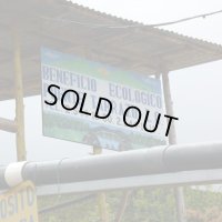 コスタリカ・プエンテタラス・ゲイシャ　中煎り　(100g)