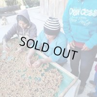 メキシコ・ユクカフェ　中煎り　(100g)