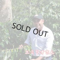 ニカラグア・オホデアグア農園　中煎り　(100g)