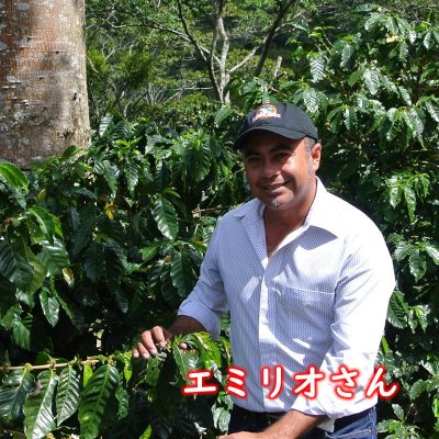 画像1: ニカラグア・エルナランホ農園ジャバニカ　中煎り　(500g)