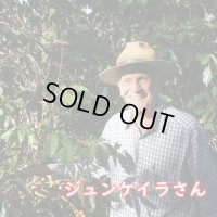 ブラジル・セハ・ダス・トレス・バハス農園　(100g)