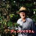 【豆珈房】ブラジル・セーハダストレスバハス