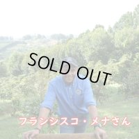 コスタリカ・シュマバ・キンカジュー・ゲイシャ　中煎り　(100g入)