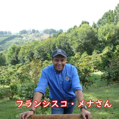 画像1: コスタリカ・シュマバ・キンカジュー・ゲイシャ　中煎り　(500g入)