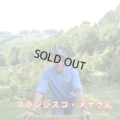 画像1: コスタリカ・シュマバ・キンカジュー・ゲイシャ　中煎り　(250g入)