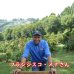 画像1: コスタリカ・シュマバ・キンカジュー・ゲイシャ　中煎り　(500g入) (1)
