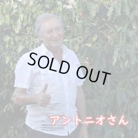 ブラジル・サン・ジュダス・タデウ農園　深煎り　(100g)