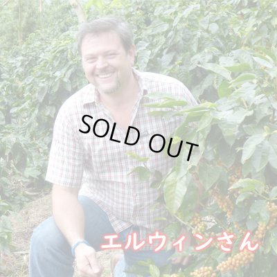 画像1: ニカラグア・エルススピロ農園　中煎り　(500g)