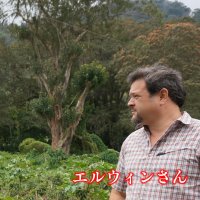 ニカラグア・リモンシジョ農園ジャバニカ　中煎り　(500g)