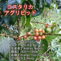 コスタリカ・アグリビッド・オレンジティピカ　中煎り　(100g)