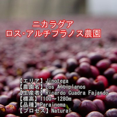 画像4: 【ポストに投函ネコポス配送】スペシャルティコーヒーセット　(100g×4種類)