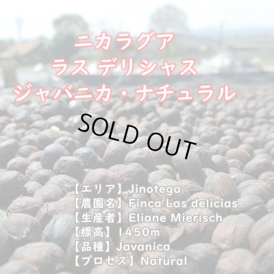 画像2: ニカラグア・ラスデリシャス農園ジャバニカ・ナチュラル　中煎り　(250g)