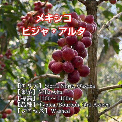 画像4: 6月のおすすめセット(200g×4種類)
