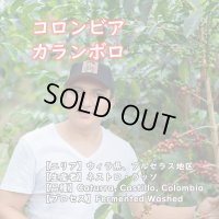 コロンビア・ウィラ・カランボロ　中煎り　(100g)