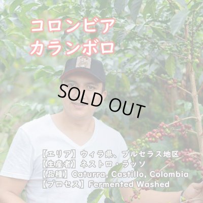 画像1: コロンビア・ウィラ・カランボロ　中煎り　(100g)