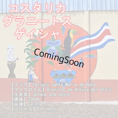 画像3: トップオブトップ・スペシャルティコーヒーセット　(250g×3種類)