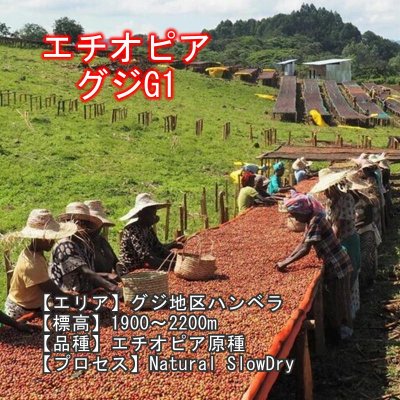 画像5: スペシャルティコーヒーセット(200g×4種類)