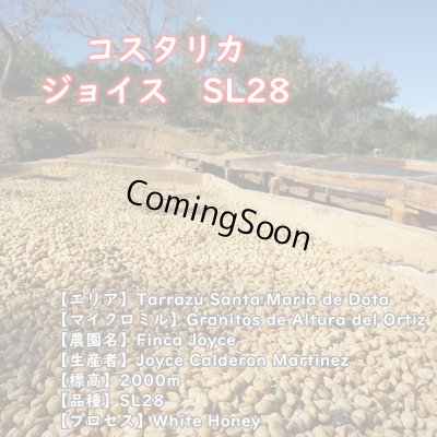 画像2: 【ネコポス配送】スペシャルティコーヒーセット(100g×4種類)