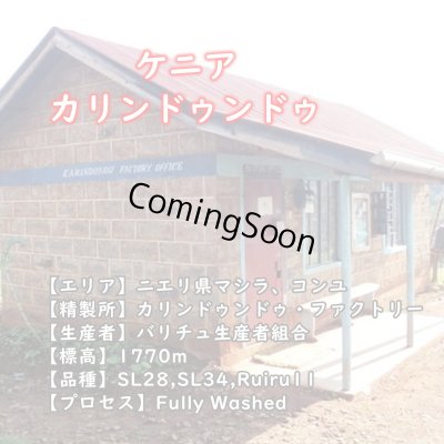 画像4: トップオブトップ・スペシャルティコーヒーセット　(250g×3種類)