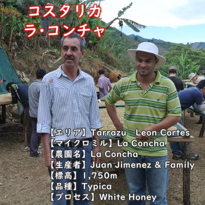 画像1: コスタリカ・ラ・コンチャ農園　中煎り　(250g)