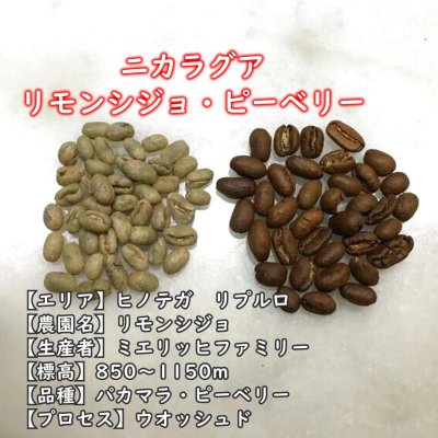 画像2: ニカラグア・リモンシジョ農園パカマラ・ピーベリー　中煎り　(100g)