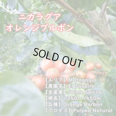 画像2: ニカラグア・エルススピロ農園　中煎り　(500g)