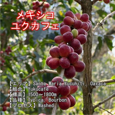 画像4: スペシャルティコーヒーセット(200g×4種類)