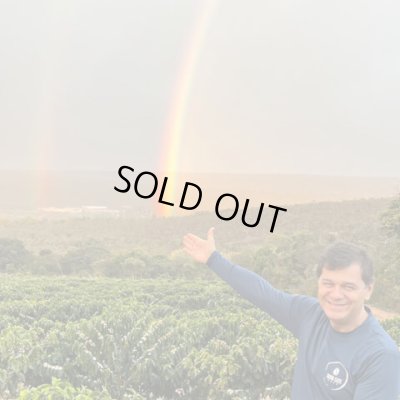 画像2: ブラジル・サクラ農園アララ　中煎り　(250g)