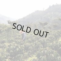 グアテマラ・ラ・ウニオン農園ゲイシャ　中煎り　(100g)