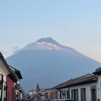 グアテマラ・ベジャビスタ・マラゴジッペ　中煎り　(500g)