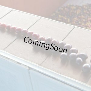 【豆珈房】トップオブトップスペシャルティコーヒーセット