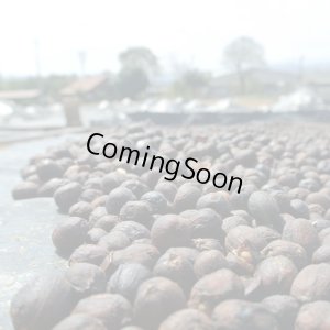 画像4: ニカラグア・ラスデリシャス農園ゲイシャ　ナチュラル　中煎り　(250g) (4)