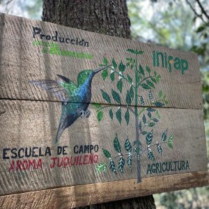 画像3: メキシコ・フキラ　ビハノス　中煎り　(100g) (3)