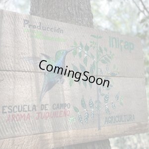 画像3: メキシコ・フキラ　ビハノス　中煎り　(100g) (3)