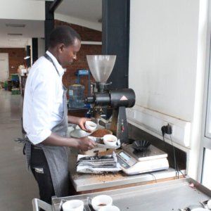 画像4: ケニア・カリンドゥンドゥ　中煎り　(500g) (4)