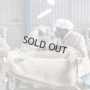 画像3: ケニア・カリンドゥンドゥ　中煎り　(250g) (3)