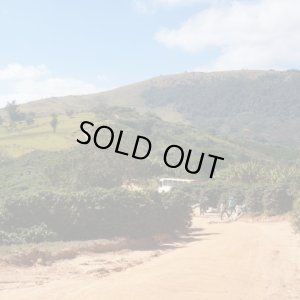 画像4: ブラジル・パッセイオ農園　深煎り　(250g) (4)