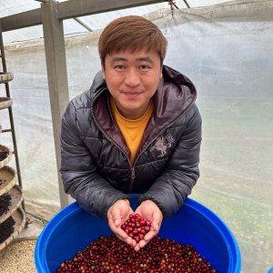 画像2: タイCOE2024第23位ライ・ディンディー農園　(250g) (2)