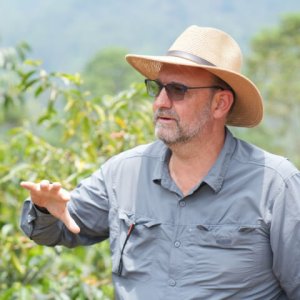 画像1: グアテマラ・ラ・フロリダ農園ゲイシャ　中煎り　(500g) (1)
