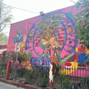 画像4: メキシコ・ユクカフェ　中煎り　(100g) (4)