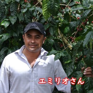 画像1: ニカラグア・エルスヤタル農園　中煎り　(500g) (1)