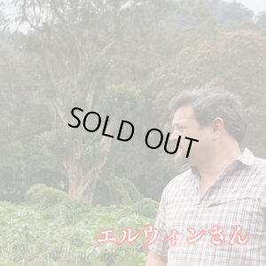 画像1: ニカラグア・リモンシジョ農園ジャバニカ　中煎り　(500g) (1)