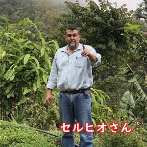 画像1: ニカラグア・カサブランカ農園ロスカルプレス　中煎り　(250g) (1)