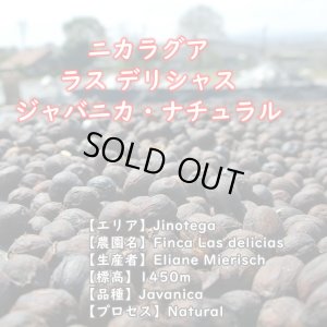 画像2: ニカラグア・ラスデリシャス農園ジャバニカ・ナチュラル　中煎り　(100g) (2)