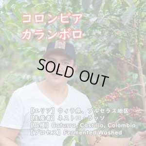画像1: コロンビア・ウィラ・カランボロ　中煎り　(250g) (1)